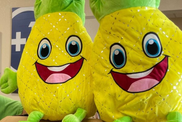 Pineapple Squishmallows